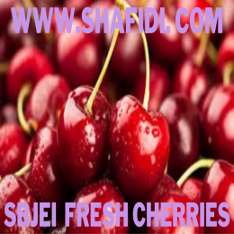 FRESH CHERRIES